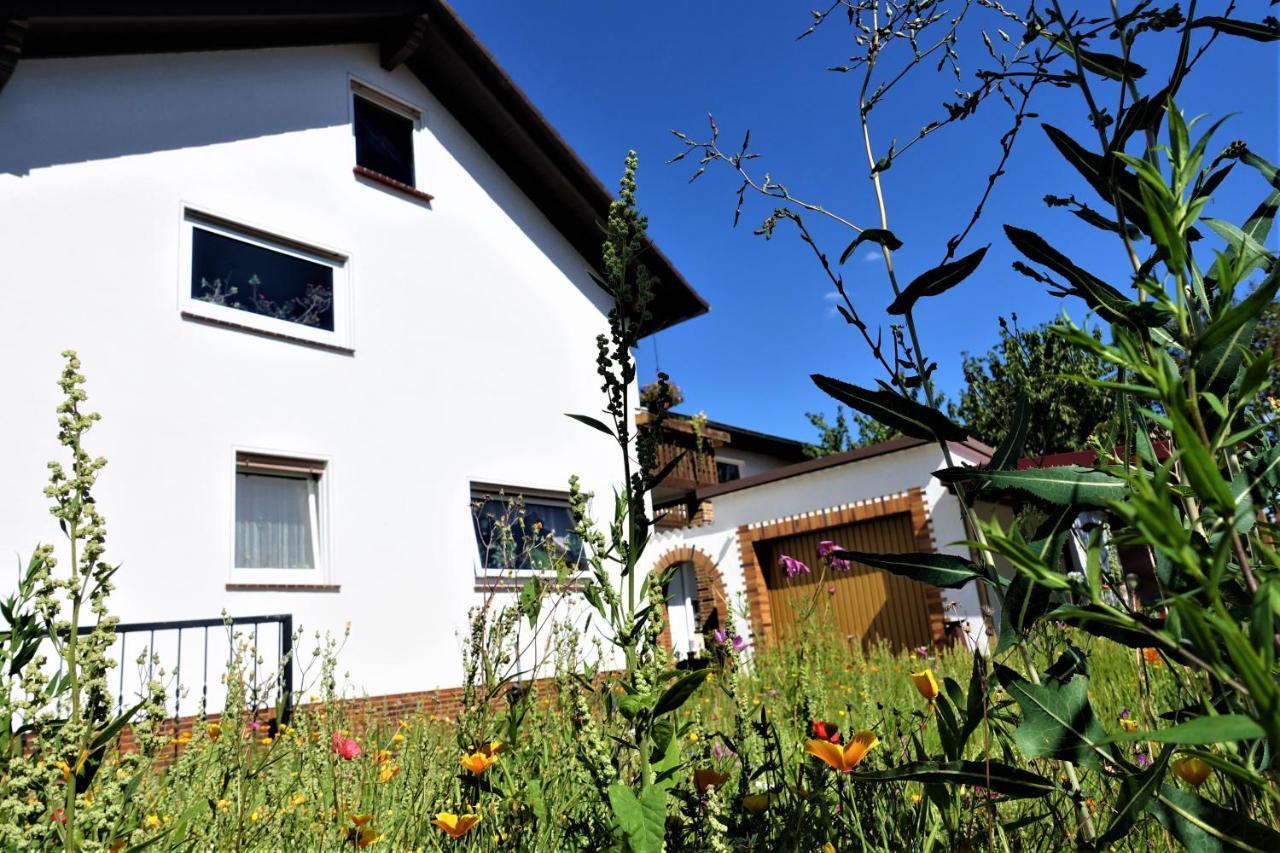 Ferienwohnung-M8 Im Schoenen Werratal Jestadt Zewnętrze zdjęcie